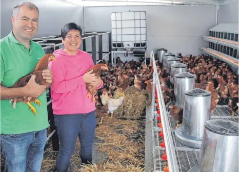  ?? FOTO: WOLFGANG HEYER ?? Hubert und Sabrina Schwegler gewöhnen die neuen Hühner langsam an ihr neues Zuhause.