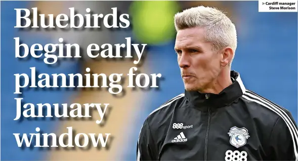  ?? ?? Cardiff manager Steve Morison