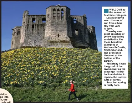  ?? Picture: OWEN HUMPHREYS/PA ?? ■ WELCOME to the season of first-time-this-year. Last Monday it was 11 hours of sun from a blue sky from 7am to 6pm. Tuesday saw great splashes of yellow appearing as daffodils, like these beautiful examples at Warkworth Castle, Northmberl­and, and primroses bloomed at the bottom of the garden. Yesterday it was the growl of the lawnmower as the grass got its first back-and-sides to replace the uneven tufts of winter. So at last spring is really here.