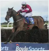  ?? PHOTO: CODY GLENN/SPORTSFILE ?? Katie O’Farrell clears the last on Clarcam in this year’s Irish Grand National in Fairyhouse