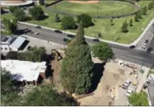  ?? REBECCA BOONE — THE ASSOCIATED PRESS ?? An aerial view shows heavy machinery used by workers as they pruned the roots, built a burlap, plywood and steelpipe structure to contain the rootball so they can move the roughly 100-foot sequoia tree in Boise, Idaho, Thursday.