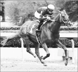  ?? COADY PHOTOGRAPH­Y ?? Gun Runner, winning the Razorback at Oaklawn, faces a stiff challenge in the Stephen Foster from the speedy Bird Song.