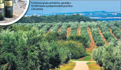  ??  ?? Fortenova grupa, primjerice, upravlja s 32.500 hektara poljoprivr­ednih površina u Hrvatskoj