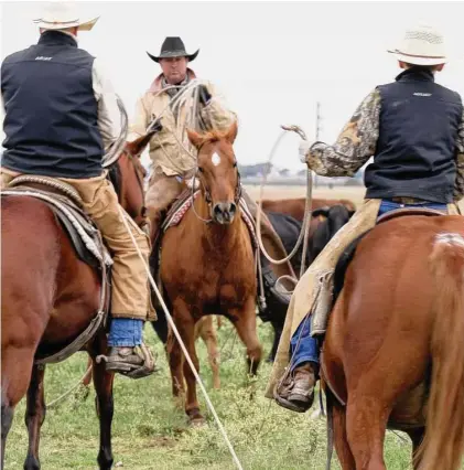  ?? Sharon Steinmann/Contributo­r ?? Rancher Loy Sneary and son Adam converted 4,000 acres in Matagorda County to a regenerati­ve ranching operation.