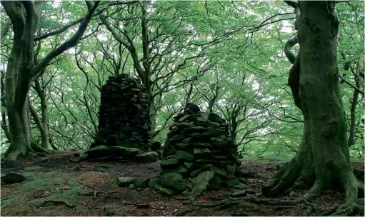  ??  ?? ABOVE: Wharncliff­e Woods, just outside Sheffield, where one unhappy camper was allegedly grabbed and held upside down by a big hairy entity. OPPOSITE PAGE: The wooded banks of the Shropshire Union Canal, where the Man Monkey is said to lurk – a case investigat­ed by Nick Redfern in FT251.