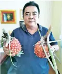  ??  ?? Lo with local pineapples he received from a supplier.