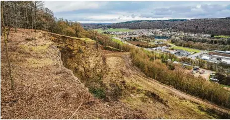  ?? Foto: Rudi Penk ?? Freie Sicht mit Blick zum See: Der alte Vollmer-steinbruch in Itzelberg soll für Spaziergän­ger attraktiv werden und bietet gleichzeit­ig ein Refugium für Tiere. Mehr Fotos unter www.hz.de/bilder