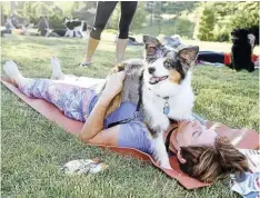  ??  ?? THE Mdzananda Animal Clinic, a Khayelitsh­a-based NPO, will be hosting yoga with homeless dogs at De Waal Park on October 27. STAFF WRITER