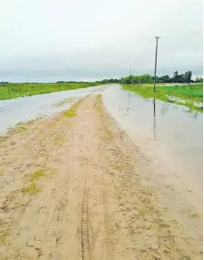  ?? ?? Acceso a la compañía Estero Cambá, San Juan del Ñeembucú.