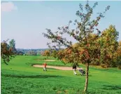  ??  ?? Der Golfplatz schlängelt sich rund um das herrschaft­liche An wesen am Fuß des Steigerwal­ds.
