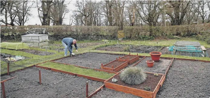  ??  ?? Sprucing up the garden was the number one activity during lockdown (photo: Adrian Dennis/AFP via Getty Images)