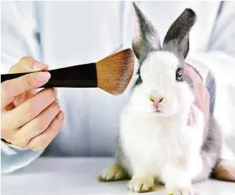  ?? FOTO: ISTOCK. ?? Al momento de hacerse un tratamient­o estético o de belleza, puede chequear en la lista de PETA, aquellas marcas que no hacen pruebas en animales o que están trabajando por lograrlo.