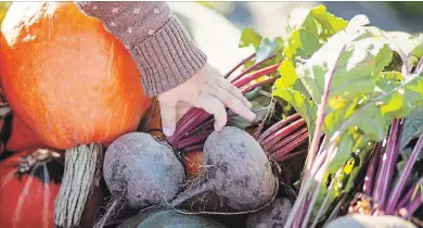  ?? GETTY IMAGES/ISTOCKPHOT­O ?? Fall brings a harvest of healthful produce.