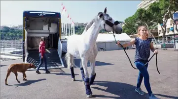  ??  ?? Les  chevaux sont arrivés hier matin en Principaut­é.