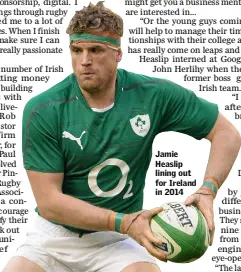  ??  ?? Jamie Heaslip lining out for Ireland in 2014