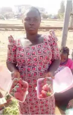  ??  ?? Alice Bitrus hawks strawberri­es by the roadside around Dogon Karfe in Jos