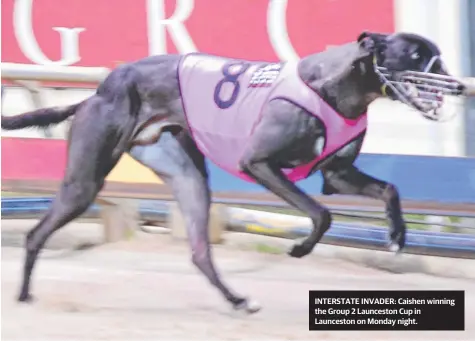  ??  ?? INTERSTATE INVADER: Caishen winning the Group 2 Launceston Cup in Launceston on Monday night.