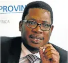  ?? /Sowetan ?? In the mix: Gauteng MEC for education Panyaza Lesufi has described Gavin Davis’s questionin­g of the process as political point-scoring