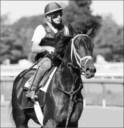  ?? BARBARA D. LIVINGSTON ?? Trained by Todd Pletcher, Moretti comes into the Birdstone off a win in the Flat Out Stakes and a second in the Suburban.