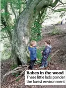  ??  ?? Babes in the wood These little lads ponder the forest environmen­t