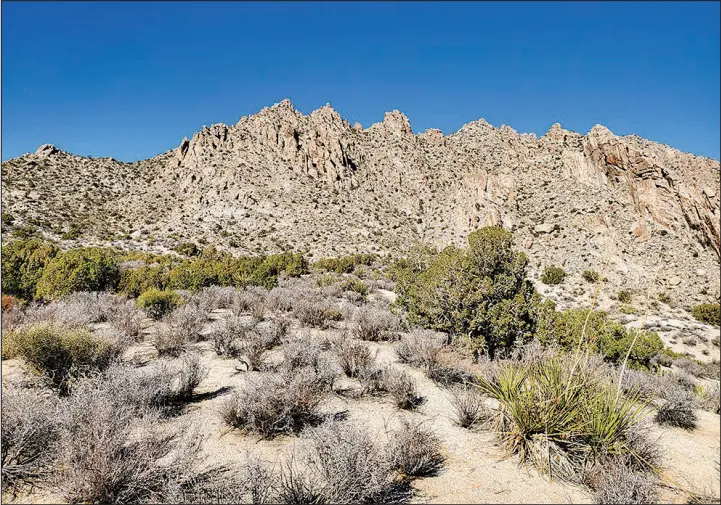  ?? SUN FILE (2021) ?? Members of the Fort Mojave Indian Tribe say their place origin is Avi Kwa Ame, also known as Spirit Mountain in Clark County.