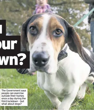  ??  ?? The Government says people can exercise outside their homes once a day during the third lockdown – but what about dogs?