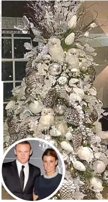  ??  ?? Tu-whit tu-Roo: Wayne and Coleen Rooney’s 2016 tree was home to a family of startled snowy owls