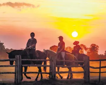  ??  ?? Cavalgada. No Mato Grosso do Sul, passeios a cavalo estão entre as atividades típicas