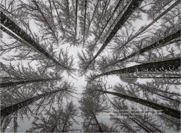  ??  ?? Fotograaf Heinz Zak heeft hier gekozen voor een bijzonder perspectie­f en zijn Fujifilm X-t4 ingesteld op f/6.4, met een brandpunts­afstand van 10 mm.