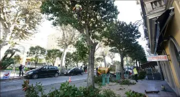  ?? (Photo Cyril Dodergny) ?? Les trous laissés par les arbres abattus hier vont être rebouchés aujourd’hui.