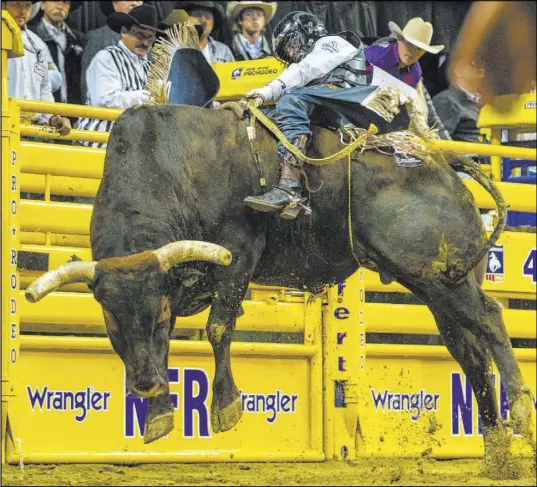  ?? L.E. Baskow Las Vegas Review-Journal @Left_Eye_Images ?? Stetson Wright of Milford, Utah, briefly stays on bull Pickup Man in the 10th go-round of the National Finals Rodeo on Saturday.