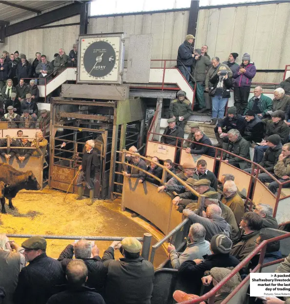  ?? Pictures: Steve Roberts ?? A packed Shaftesbur­y livestock market for the lastday of trading