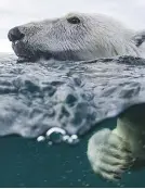  ?? ??