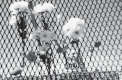  ?? Photos by Saul Loeb / AFP via Getty Images ?? Flowers adorn the fence surroundin­g the U.S. Capitol in honor of Capitol Police officer William Evans, who was killed Friday when a vehicle rammed through security and crashed into a barrier, forcing the area into lockdown.