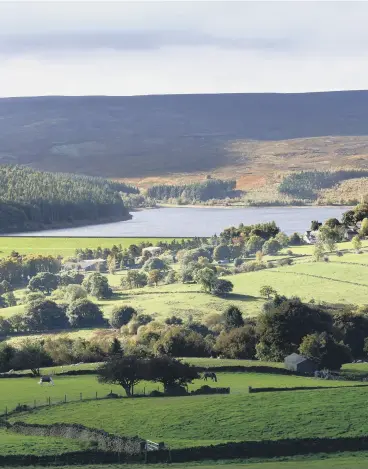  ??  ?? UP AND AWAY: Brent, opposite, loves to go for walks round Langsett Reservoir, left, and is a big fan of folk singer Kate Rusby, inset below.