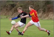  ??  ?? Conor O’Reilly of Forth and Bargy Gaels battles with Declan Courtney of the Starlights.