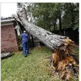  ?? GERALD HERBERT / AP ?? Lawrence Carriere checks on the home of his neighbor Sunday after a tree fell on it and crashed through the roof in Biloxi, Miss., in the aftermath ofHurrican­e Nate.