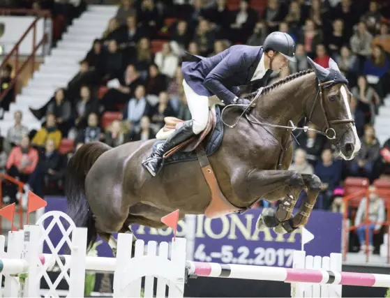  ?? FOTO: SEPPO SAMULI ?? TRIVS I HELSINGFOR­S. Romain Duguet och Quorida de Treho försvarade framgångsr­ikt segern i Helsinki Internatio­nal Horse Show.