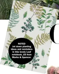  ??  ?? NotedJot down planting ideas and reminders in this lovely leaf notebook, £6 from Marks &amp; spencer.