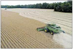  ?? Bloomberg News/DANIEL ACKER ?? A combine harvests soybeans Tuesday in a field near Tiskilwa, Ill. China has put a heavy tariff on soybeans among other goods.