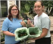  ??  ?? Daniel Boone Girl Scouts Giana Stoltzfus and Olivia Darrohn created the Garden of Hope, a community garden with a composting program, to earn the Silver Award.