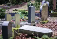  ?? Foto: dpa/Jens Büttner ?? Grabsteine im Alten Friedhof in Schwerin