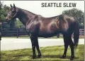  ??  ?? SEATTLE SLEW