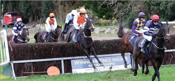  ??  ?? Action from the Point to Point at Fairwood, Tinahely on Sunday: