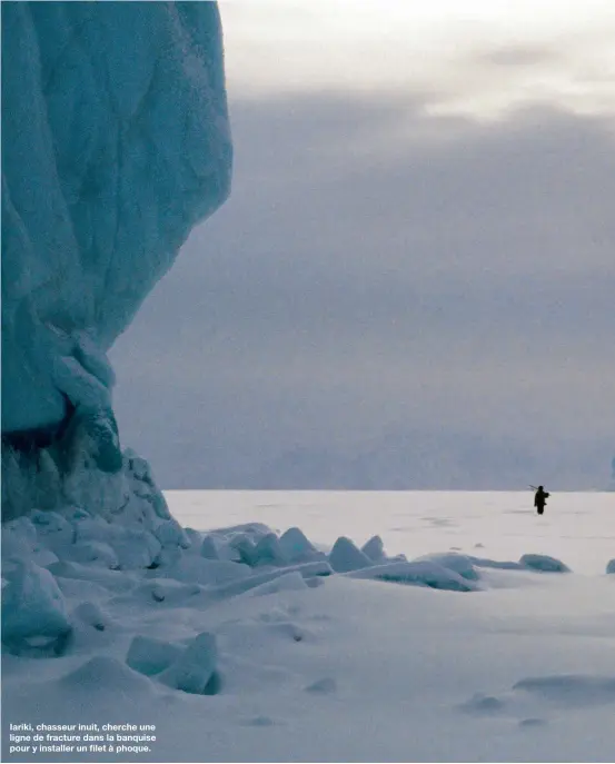  ??  ?? Iariki, chasseur inuit, cherche une ligne de fracture dans la banquise pour y installer un filet à phoque.