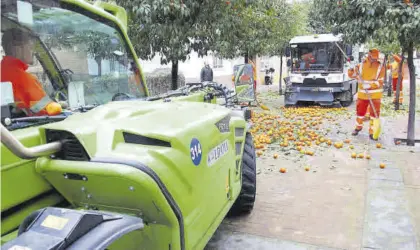  ?? CÓRDOBA ?? Recogida de naranjas en la calle Jazmín.