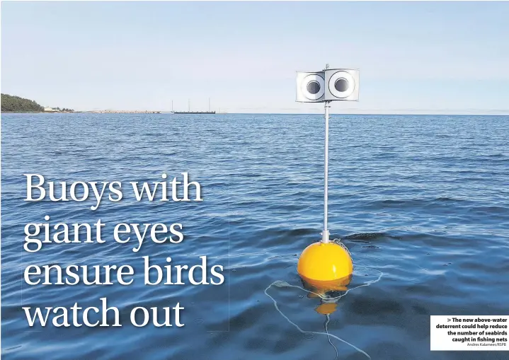  ?? Andres Kalamees/RSPB ?? > The new above-water deterrent could help reduce the number of seabirds caught in fishing nets