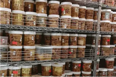  ?? Mount Sinai Health System via Associated Press ?? These jars hold slices of human brains in the Mount Sinai Brain Bank that researcher­s are using to study Alzheimer’s disease. Viruses might play a role in Alzheimer’s, scientists reported Thursday.
