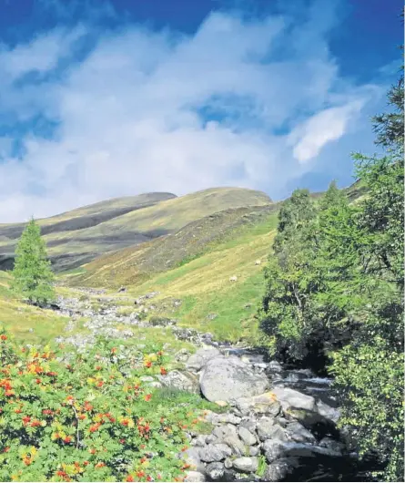  ??  ?? ● Clockwise from top left: Geilston House and Garden; Ben Lawers Burn and Meall Greigh; Brodie Castle; and Threave House and Garden