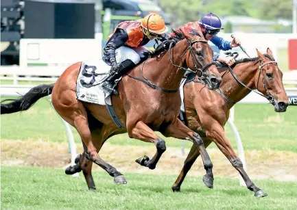  ?? RACE IMAGES ?? Jacksstar ridden by Alysha Collett gets up on the outside of Balham to win the Manawatu Cup.